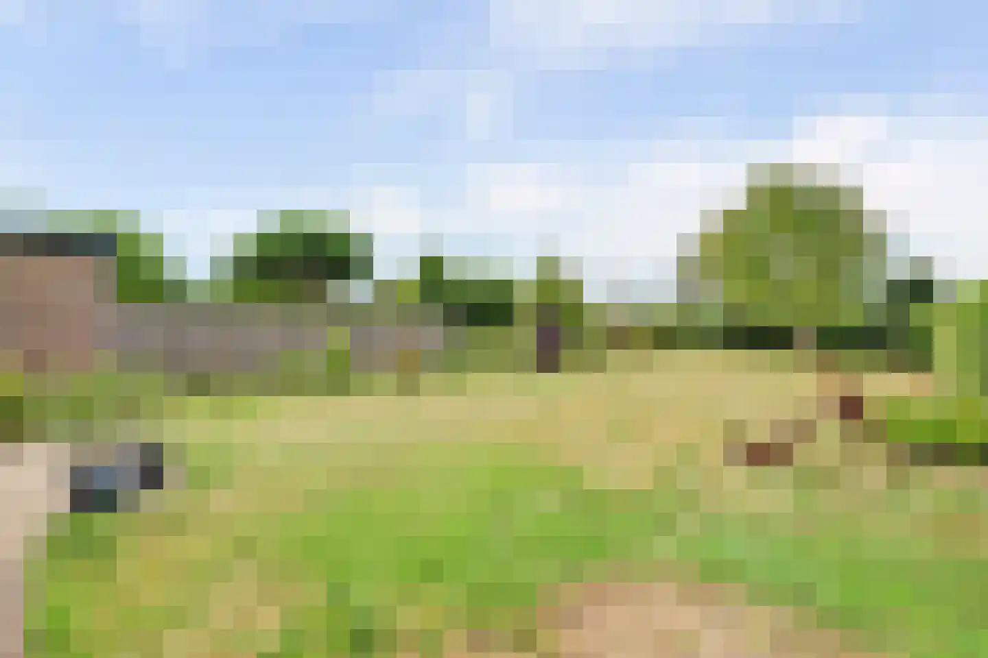 West-Havenstraat 17 Colijnsplaat thumbnail 31