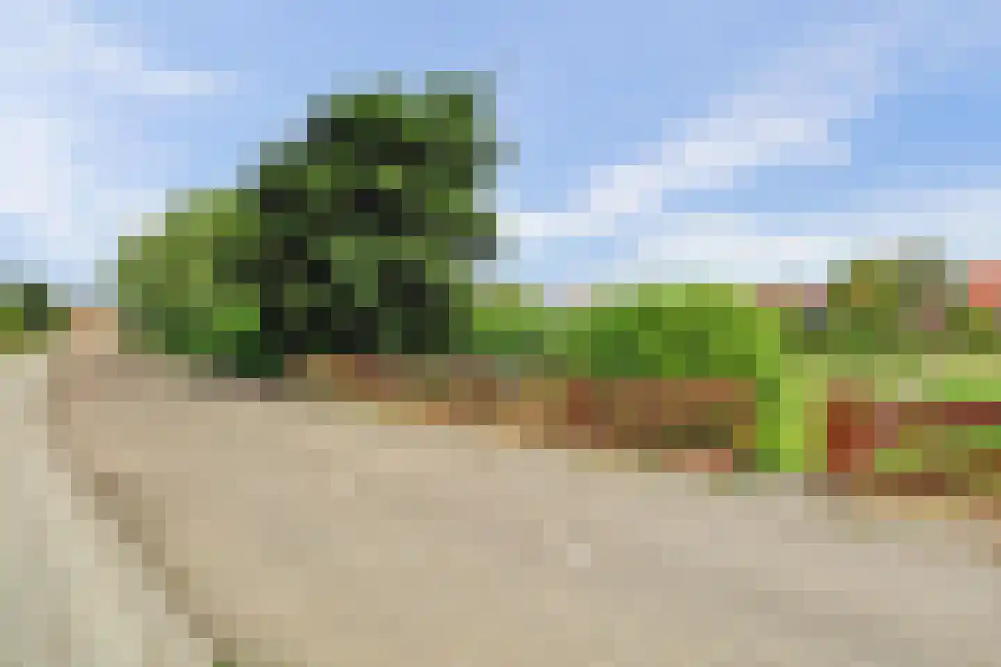 West-Havenstraat 17 Colijnsplaat thumbnail 38