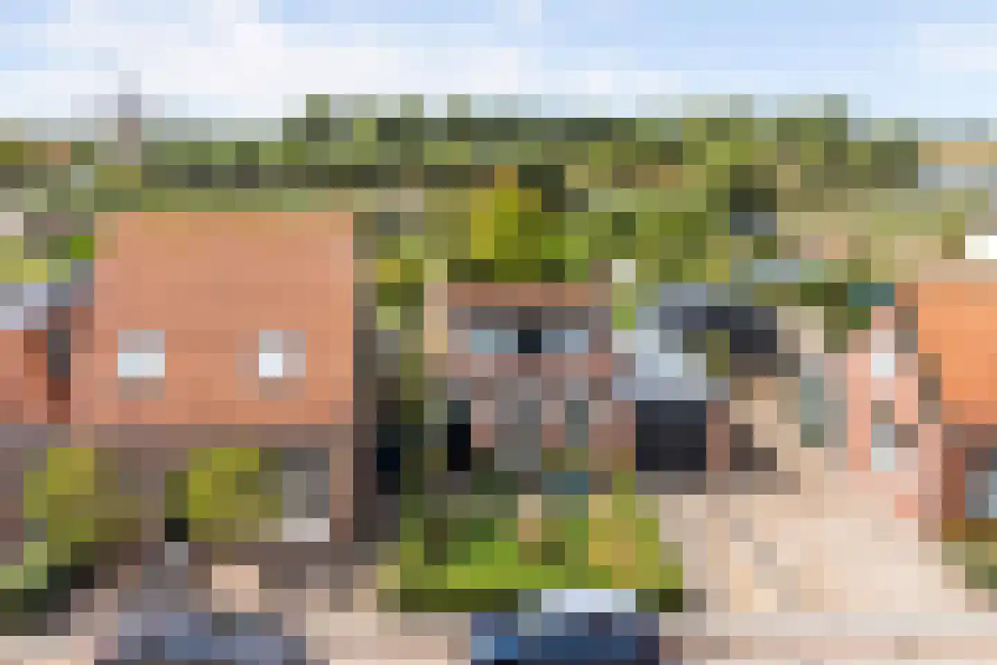 West-Havenstraat 17 Colijnsplaat thumbnail 43
