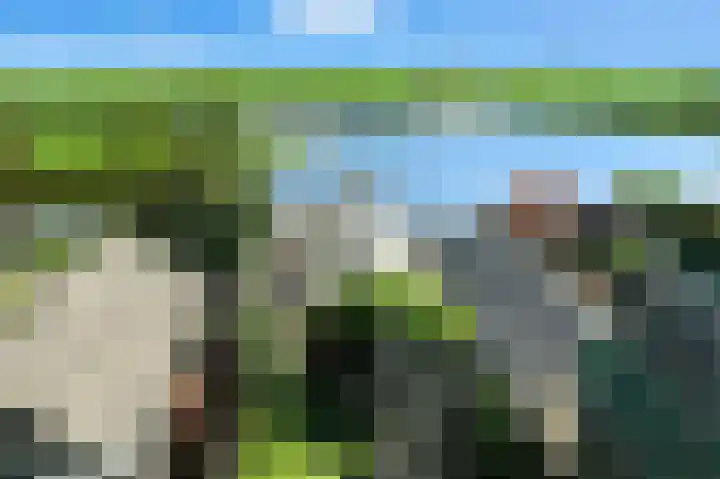 West Kinderdijk 255 Alblasserdam thumbnail 23