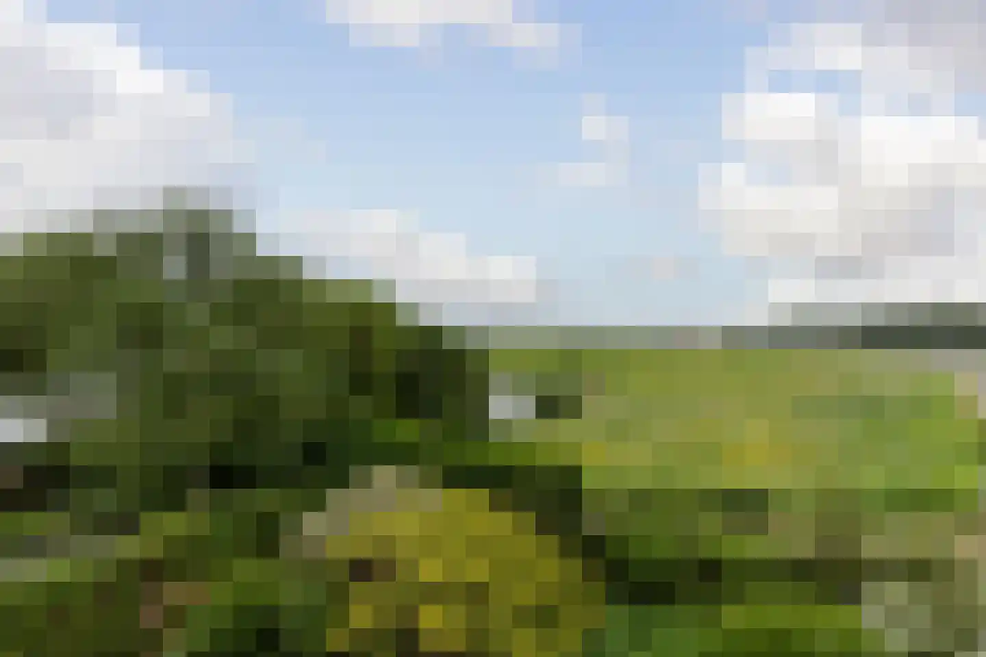 West Kinderdijk 51 Alblasserdam thumbnail 21