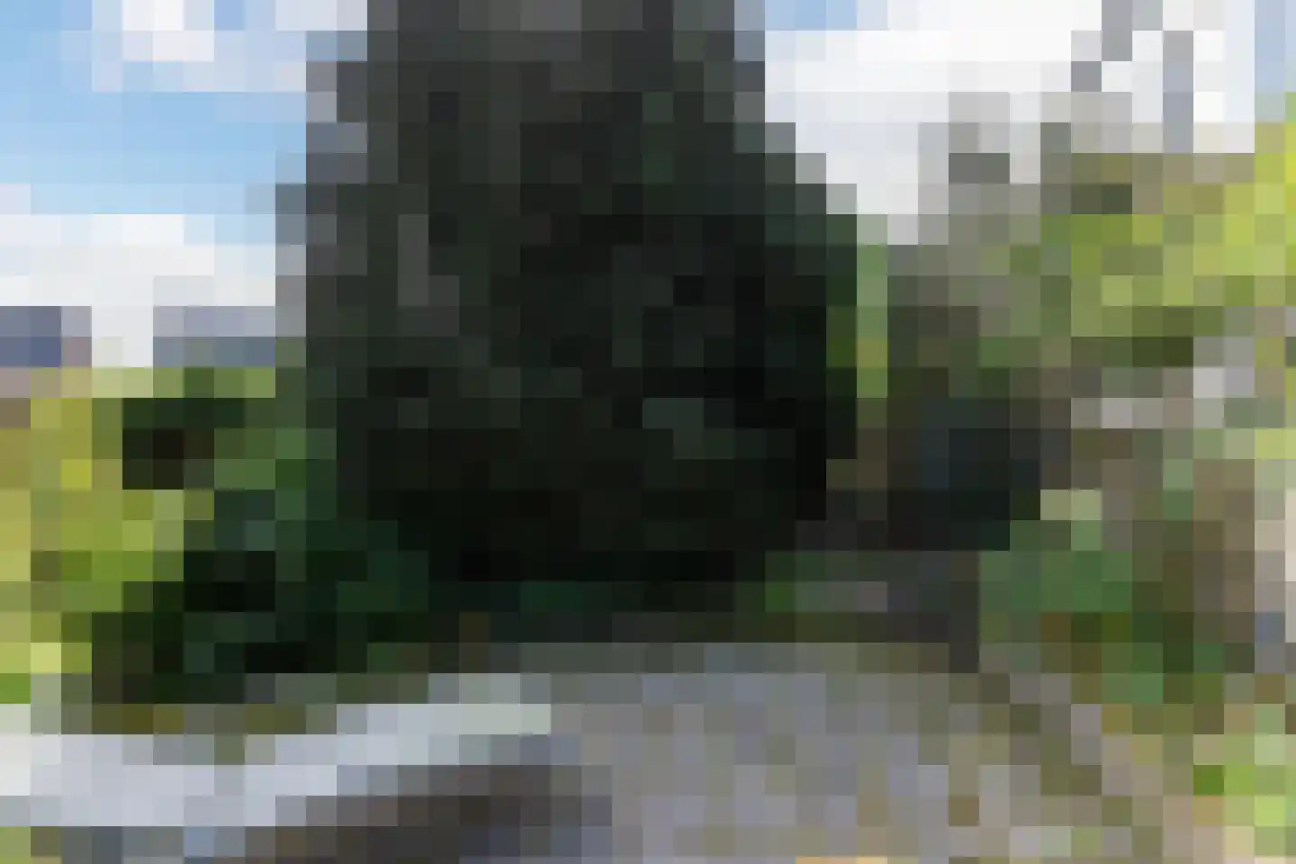 West Kinderdijk 51 Alblasserdam thumbnail 49