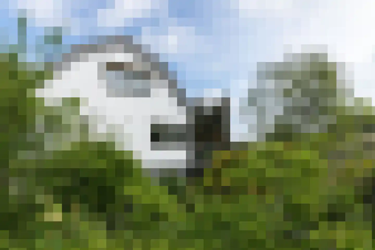 West Kinderdijk 51 Alblasserdam thumbnail 61