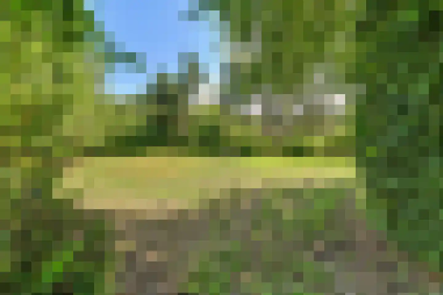 West Nieuwlandseweg 5 Ouddorp thumbnail 10