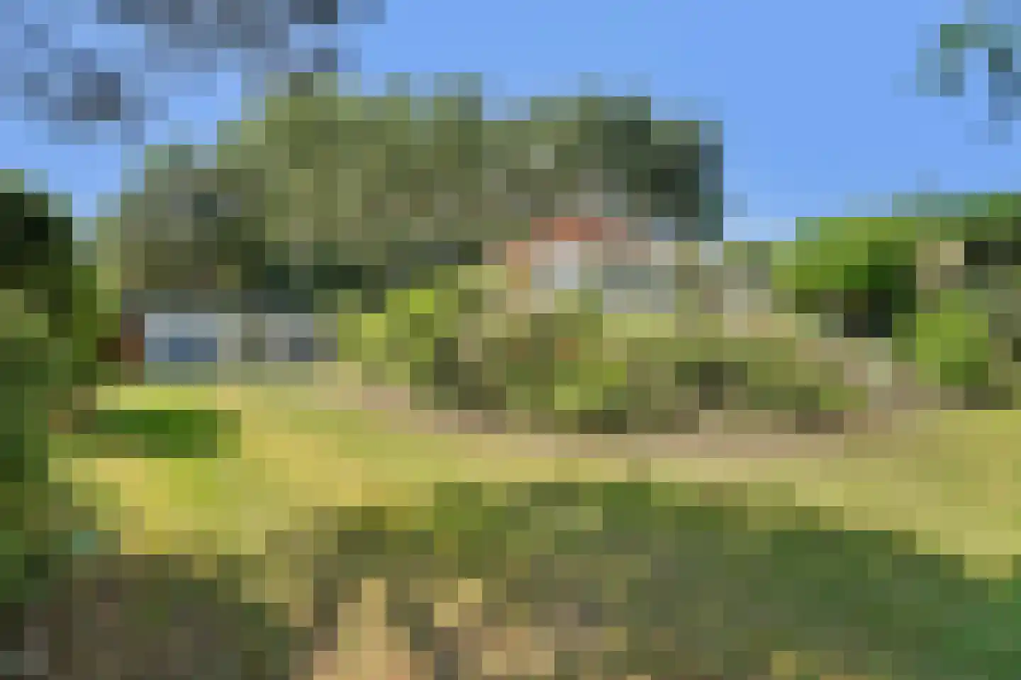 West Nieuwlandseweg 5 Ouddorp thumbnail 32