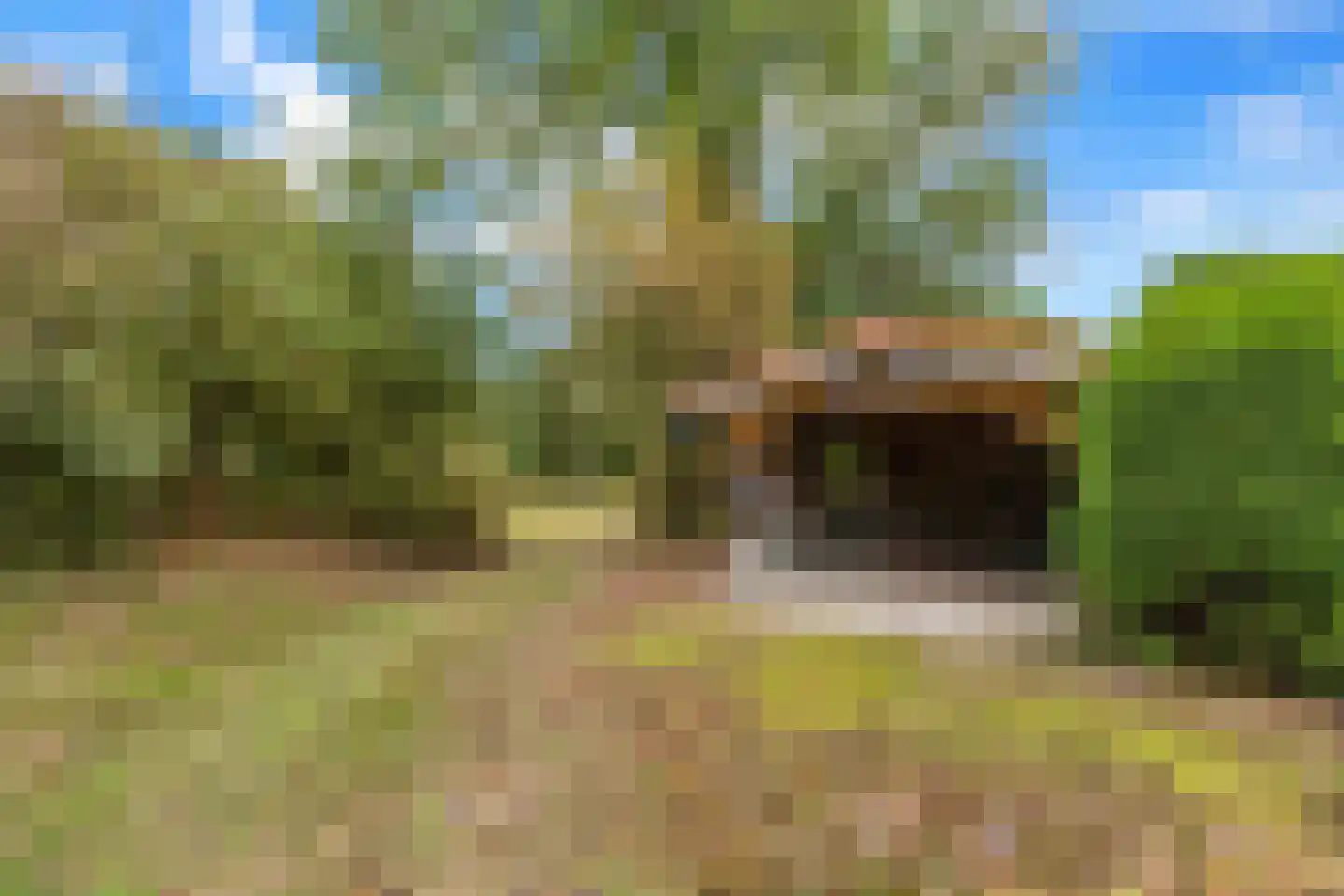 West Nieuwlandseweg 5 Ouddorp thumbnail 34