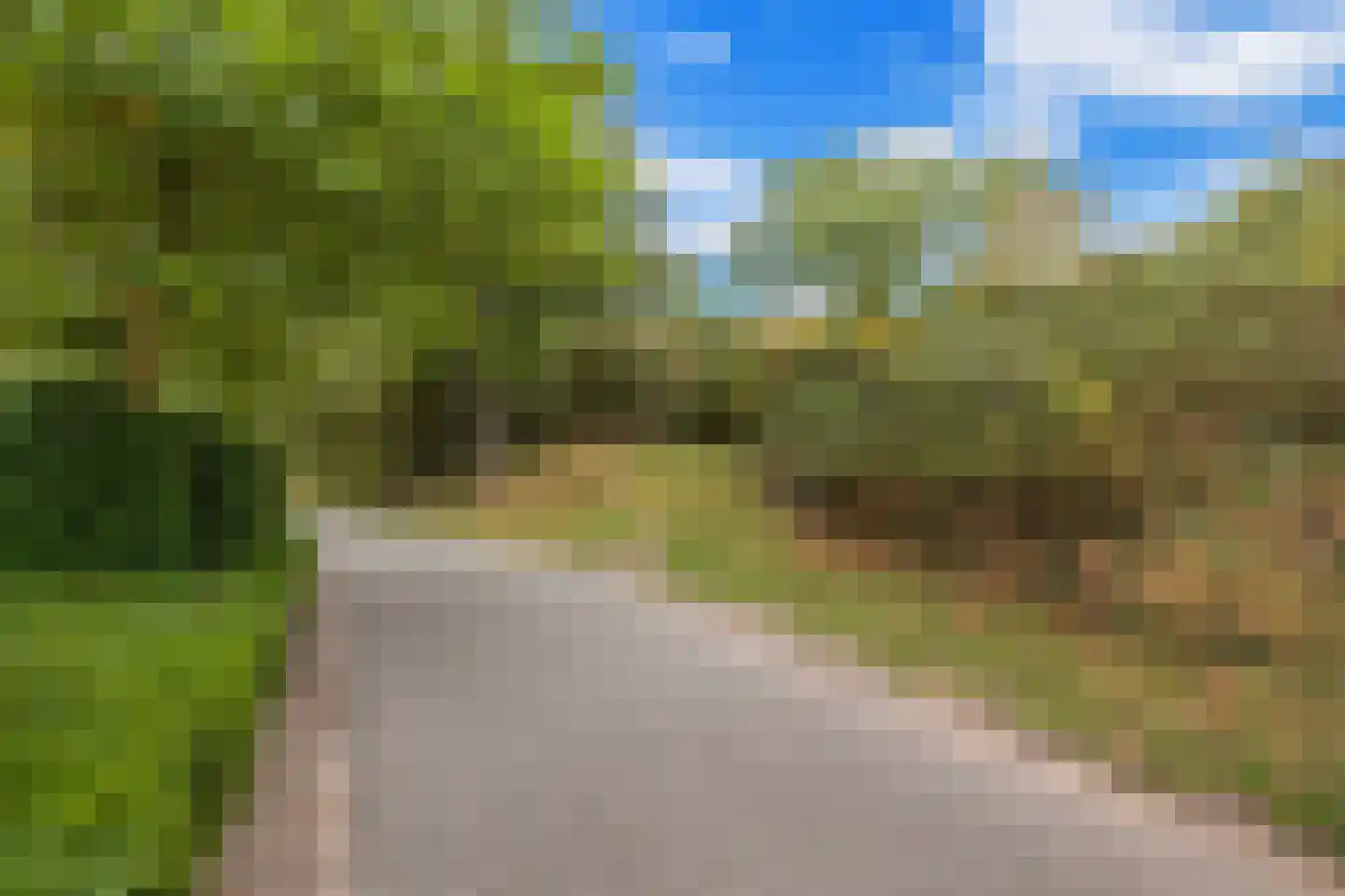 West Nieuwlandseweg 5 Ouddorp thumbnail 35