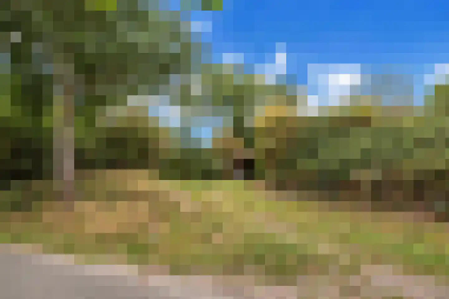 West Nieuwlandseweg 5 Ouddorp thumbnail 36