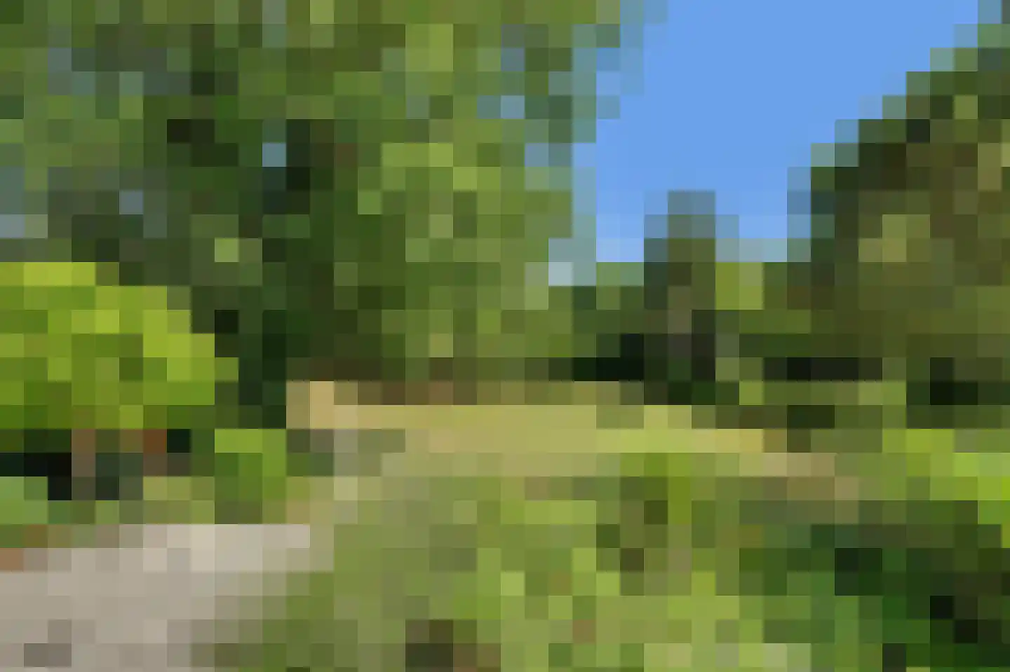 West Nieuwlandseweg 5 Ouddorp thumbnail 39