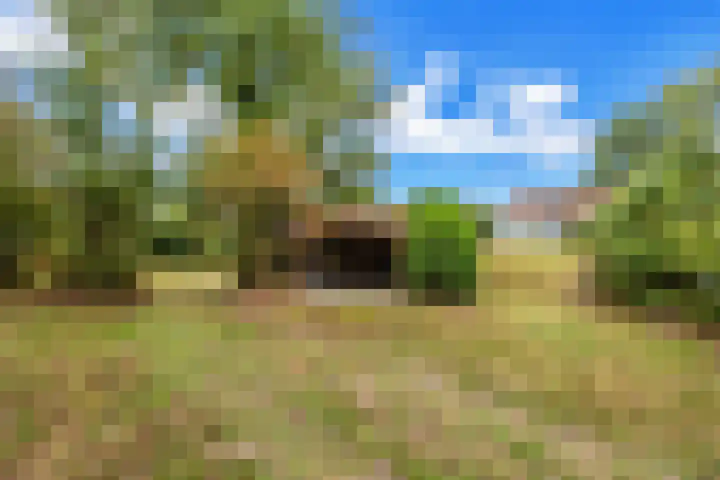 West Nieuwlandseweg 5 Ouddorp thumbnail 4