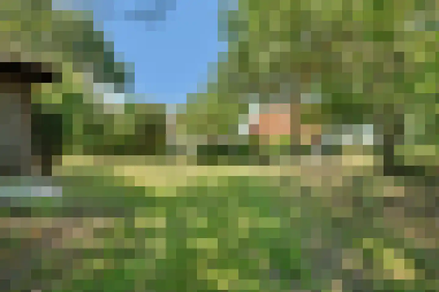 West Nieuwlandseweg 5 Ouddorp thumbnail 43