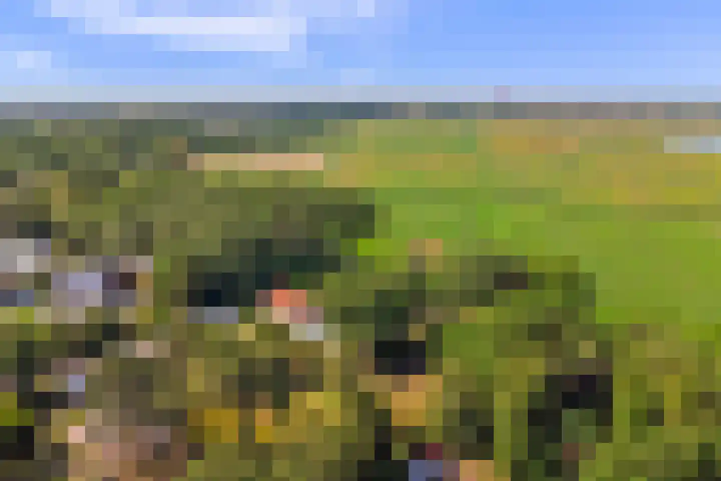 West Nieuwlandseweg 5 Ouddorp thumbnail 5