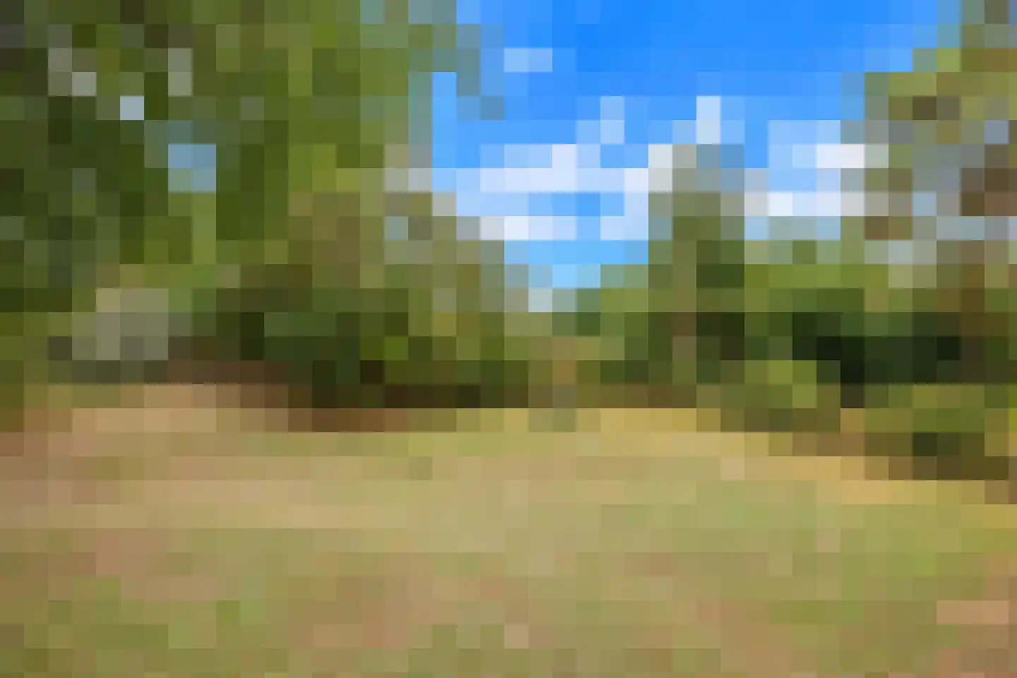 West Nieuwlandseweg 5 Ouddorp thumbnail 5