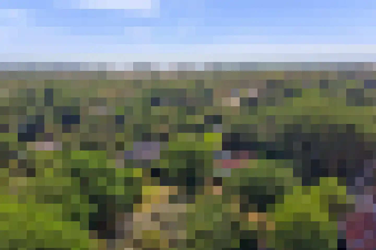 West Nieuwlandseweg 5 Ouddorp thumbnail 6