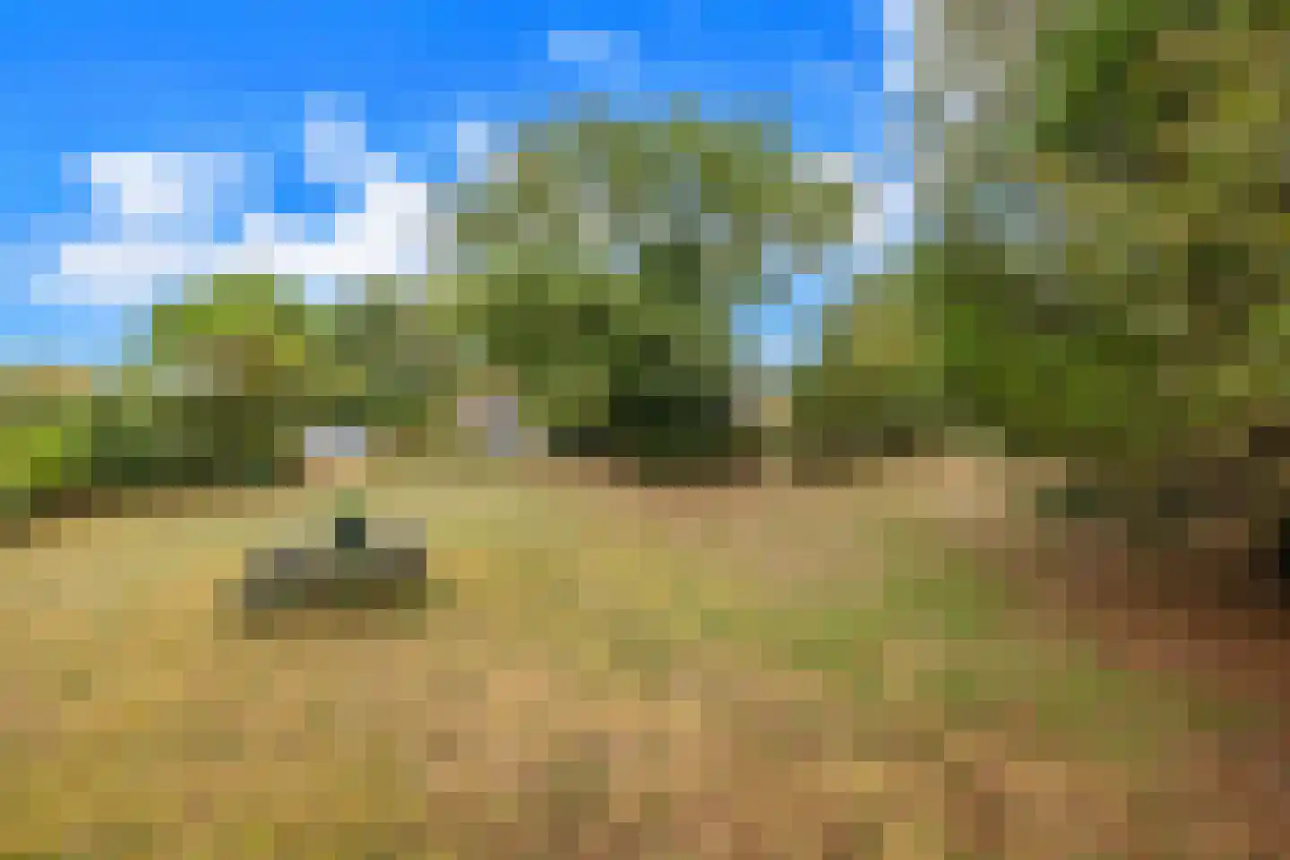 West Nieuwlandseweg 5 Ouddorp thumbnail 6