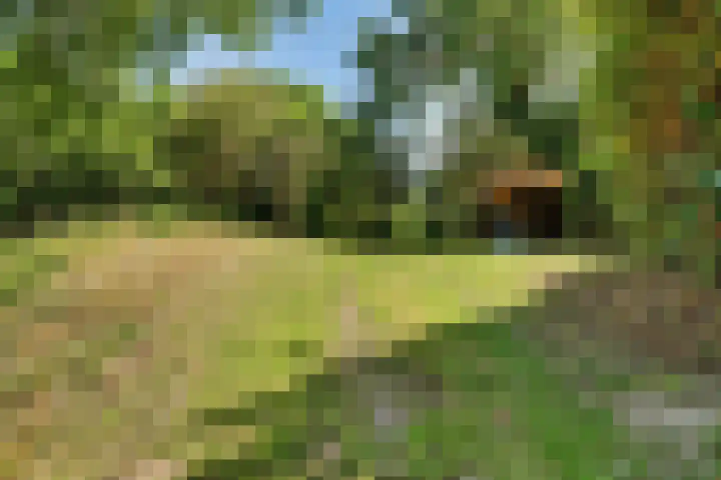 West Nieuwlandseweg 5 Ouddorp thumbnail 7