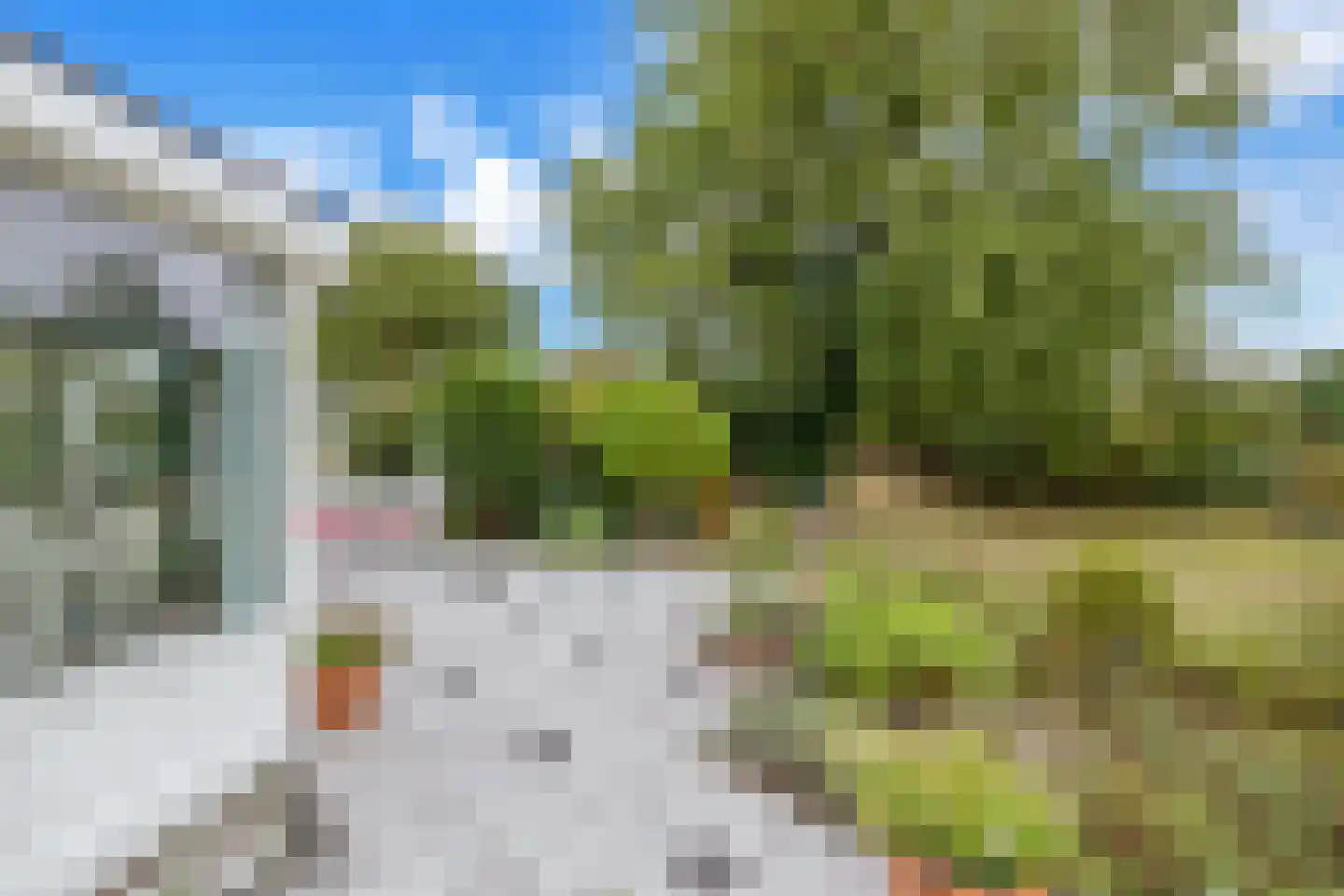 West Nieuwlandseweg 5 Ouddorp thumbnail 8