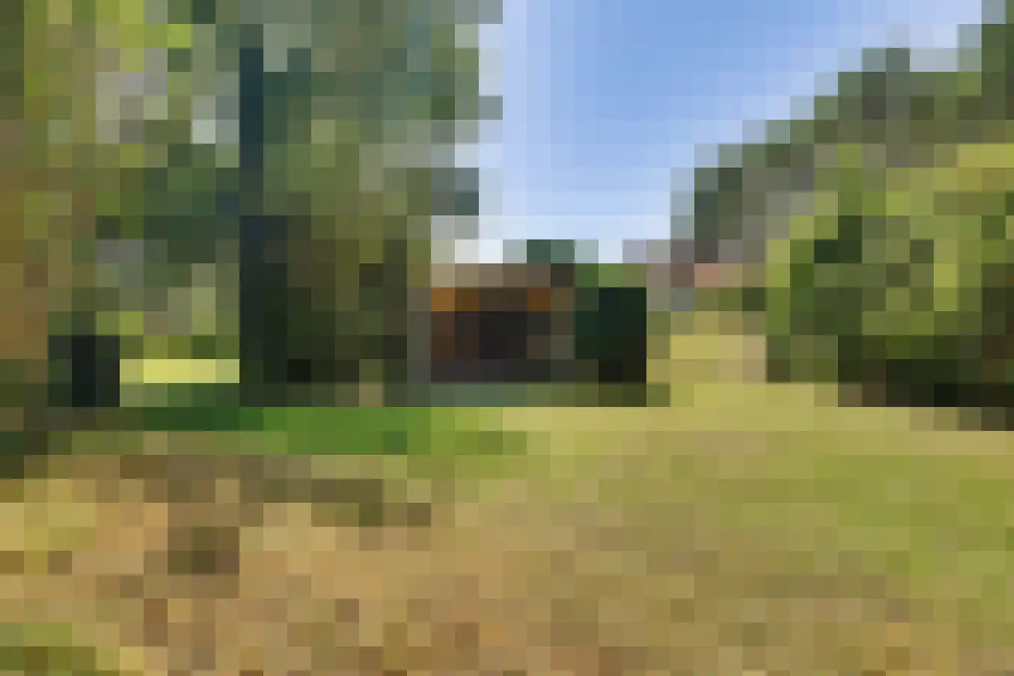 West Nieuwlandseweg 5 Ouddorp thumbnail 9