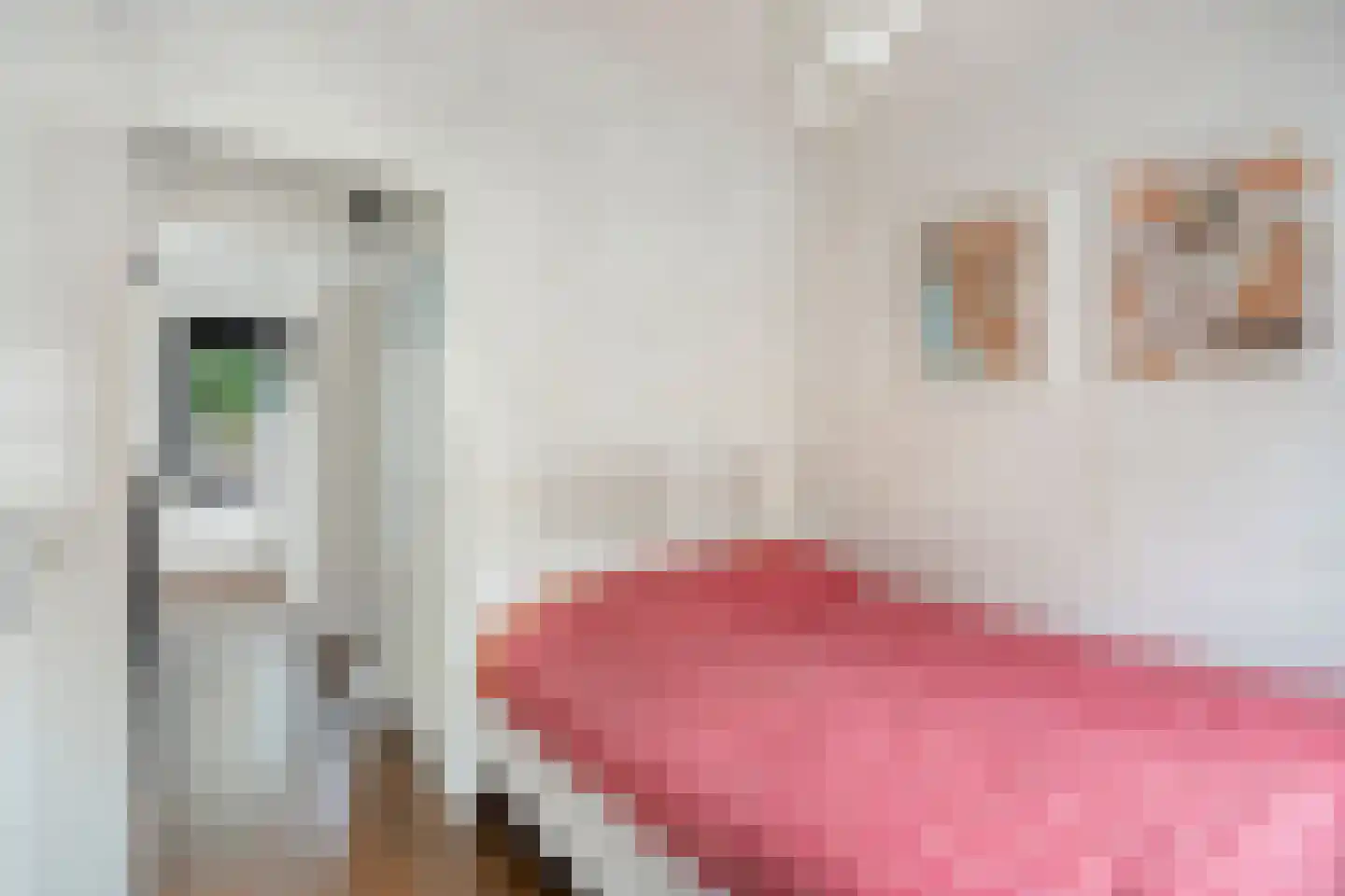 West-Peterstraat 61 Arnhem thumbnail 22