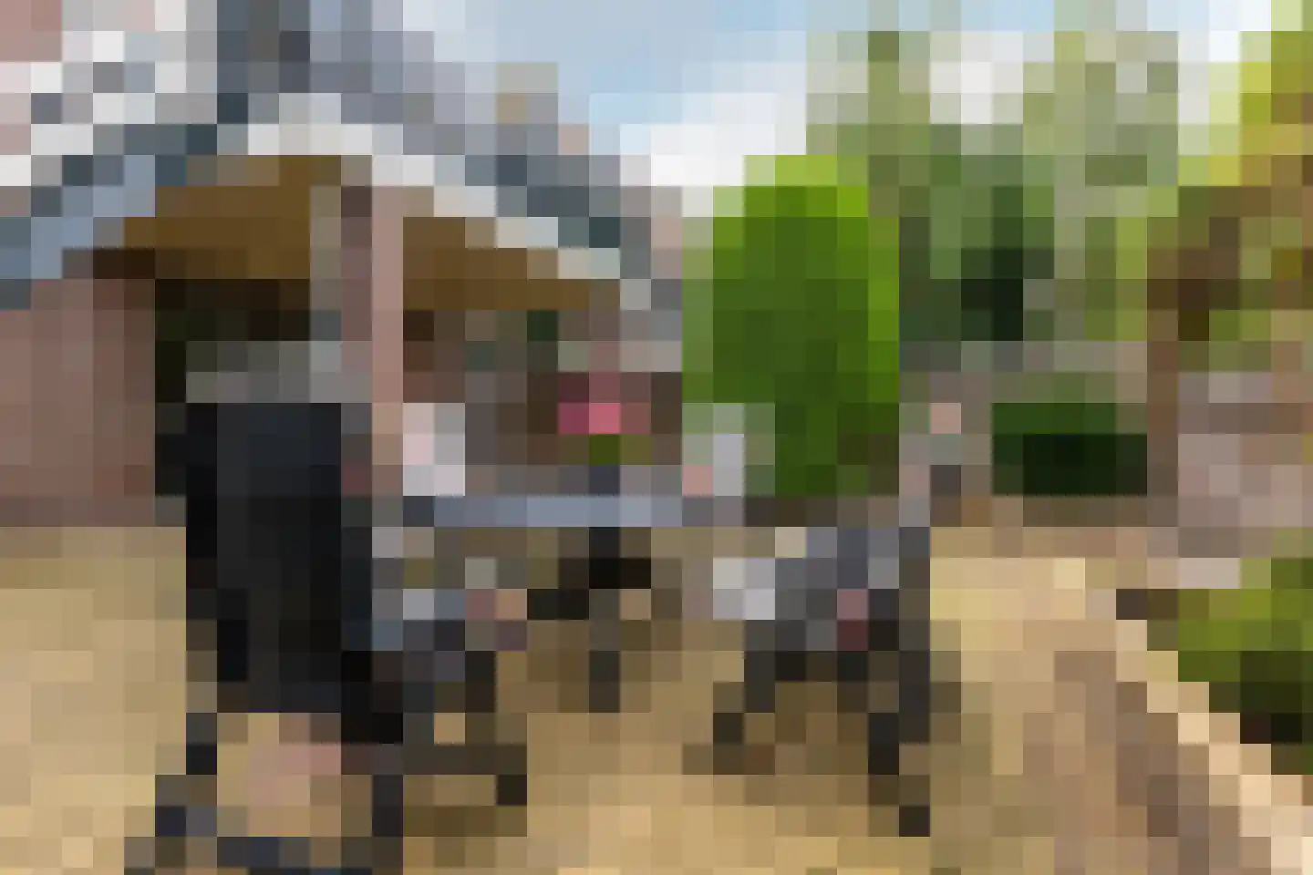 West Ringdijk 13 Moordrecht thumbnail 52