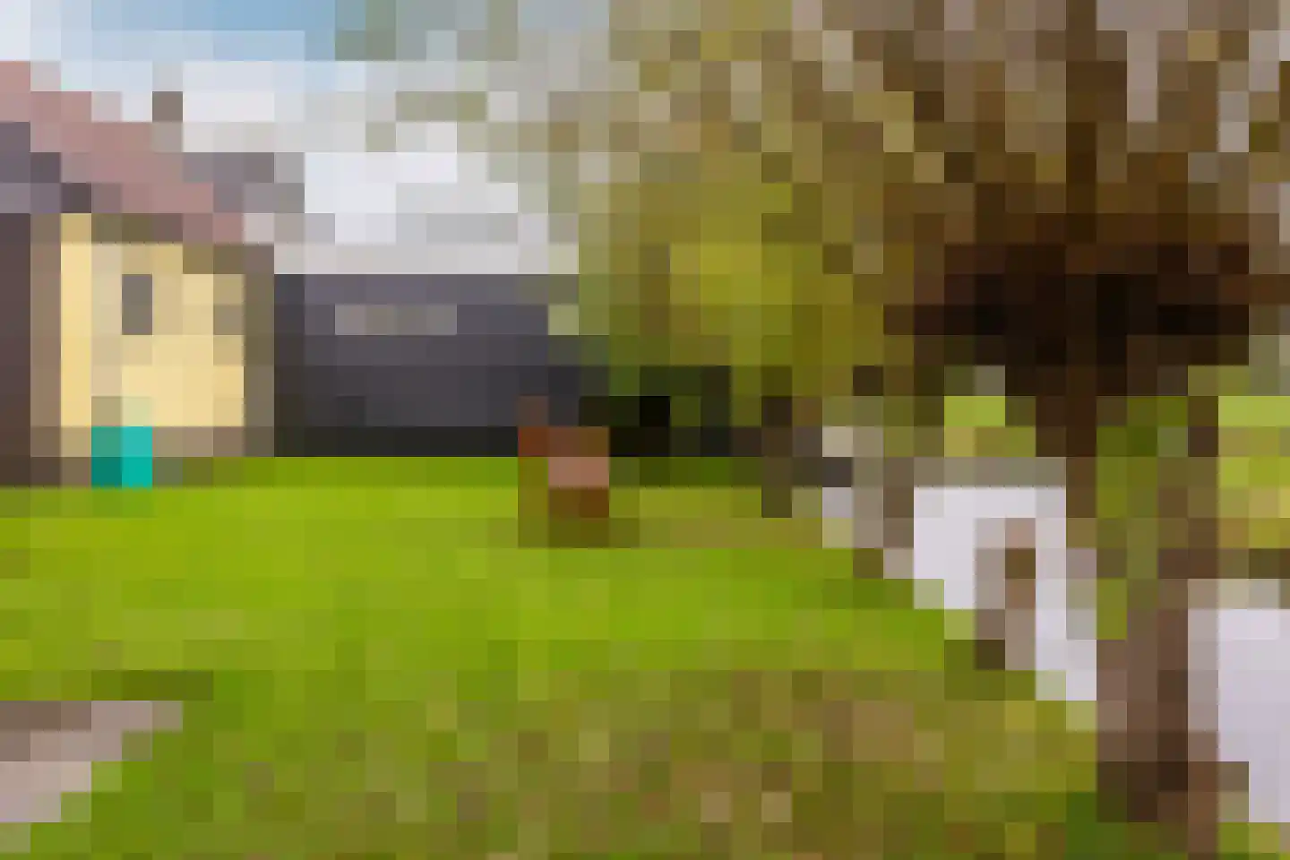 West Ringdijk 41 Moordrecht thumbnail 42