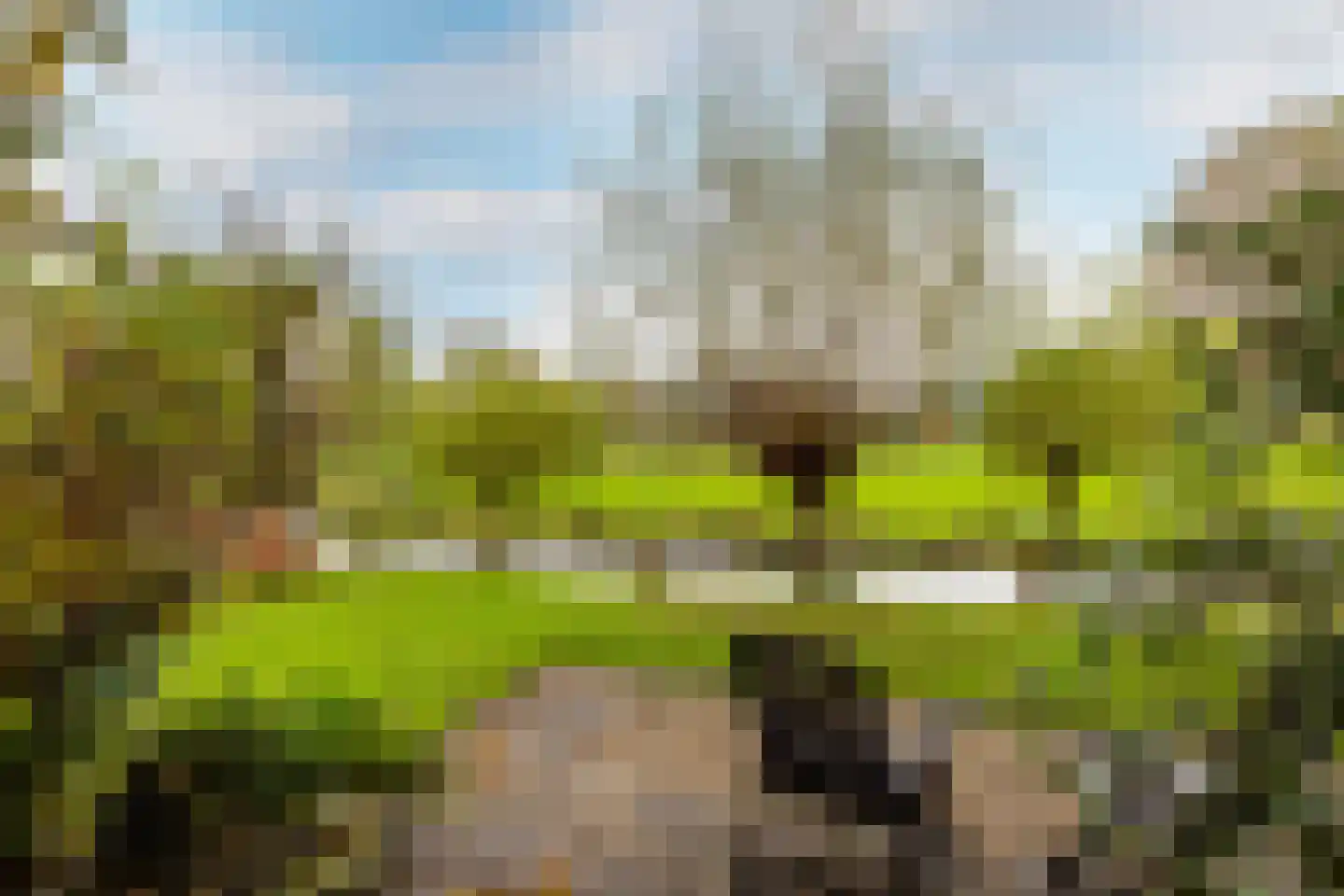 West Ringdijk 41 Moordrecht thumbnail 49
