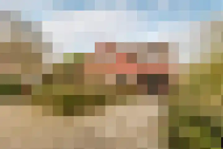 West Ringdijk 51 Moordrecht thumbnail 6