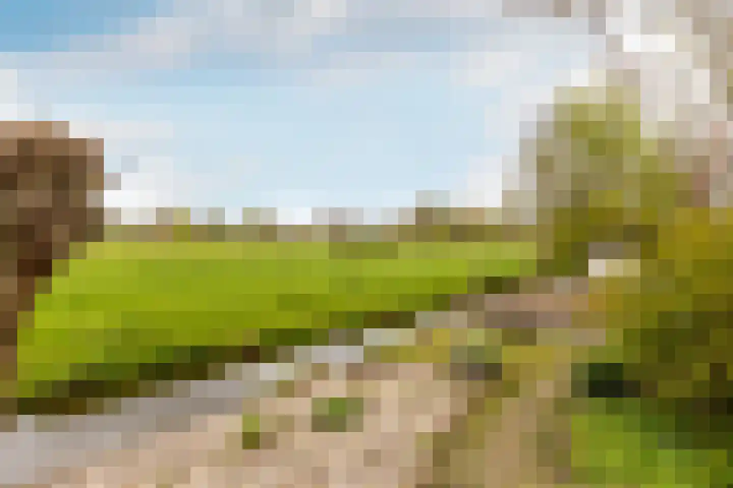 West Ringdijk 52 Moordrecht thumbnail 51