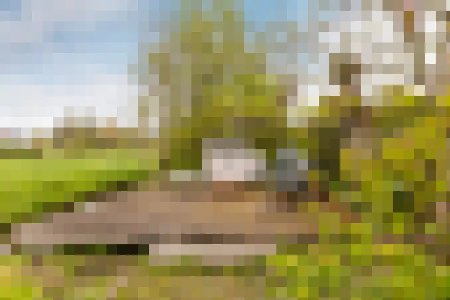 West Ringdijk 52 Moordrecht thumbnail 54