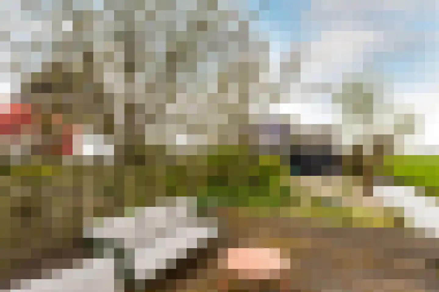 West Ringdijk 52 Moordrecht thumbnail 55