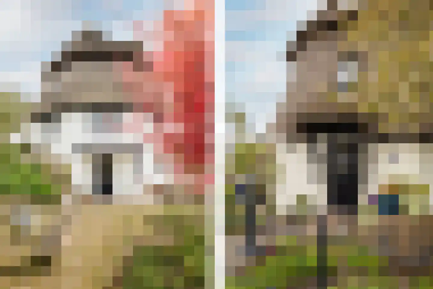 West Ringdijk 52 Moordrecht thumbnail 61