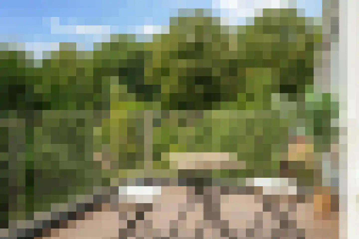 West-Sidelinge 196 C Rotterdam thumbnail 30