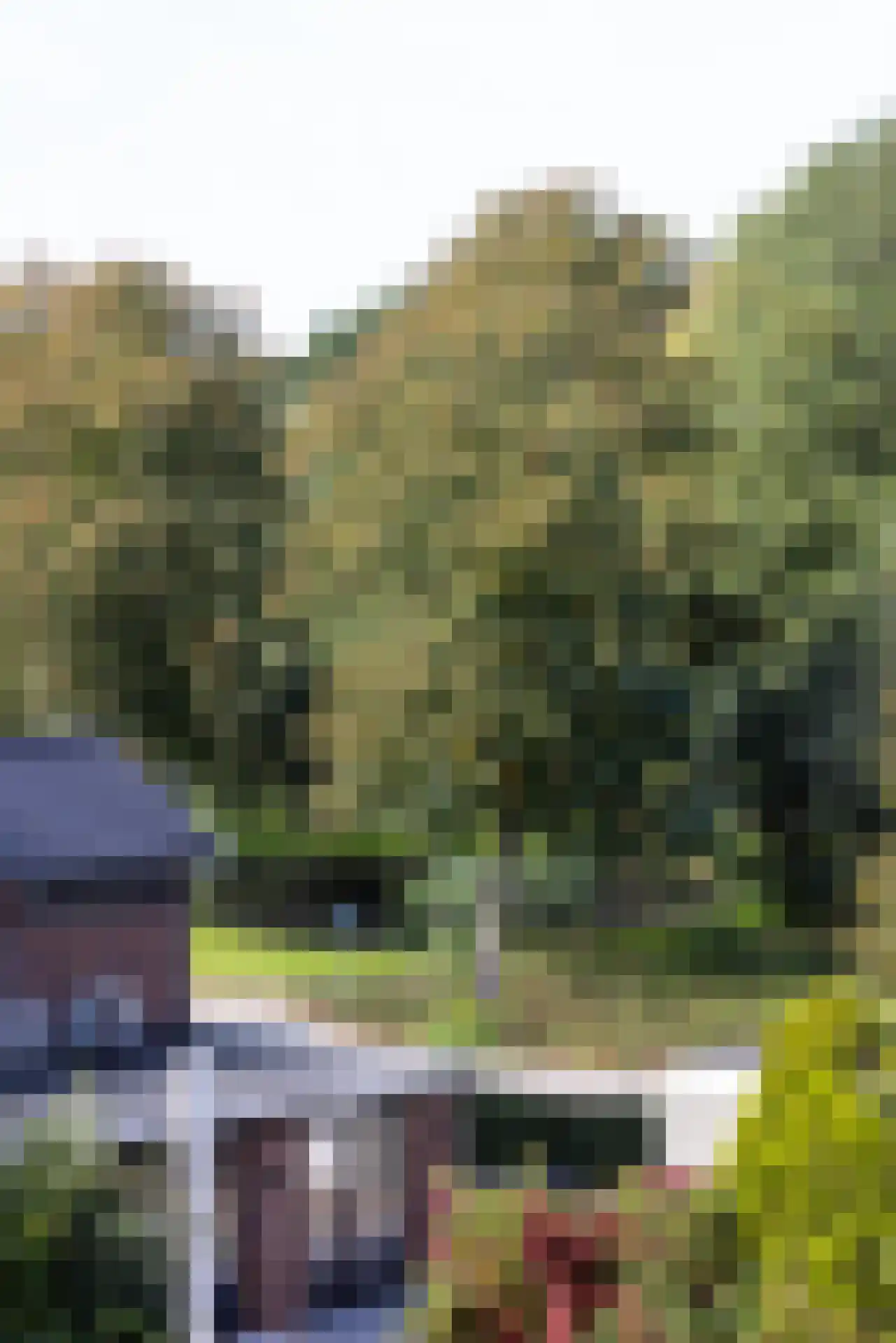 West-Sidelinge 196 D Rotterdam thumbnail 10