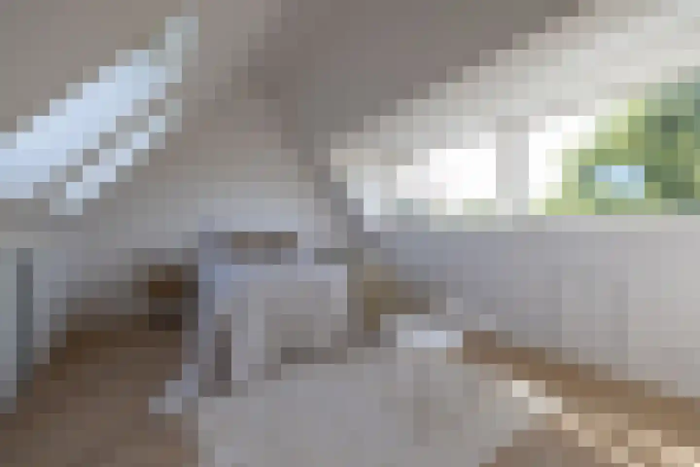 West-Sidelinge 196 D Rotterdam thumbnail 19