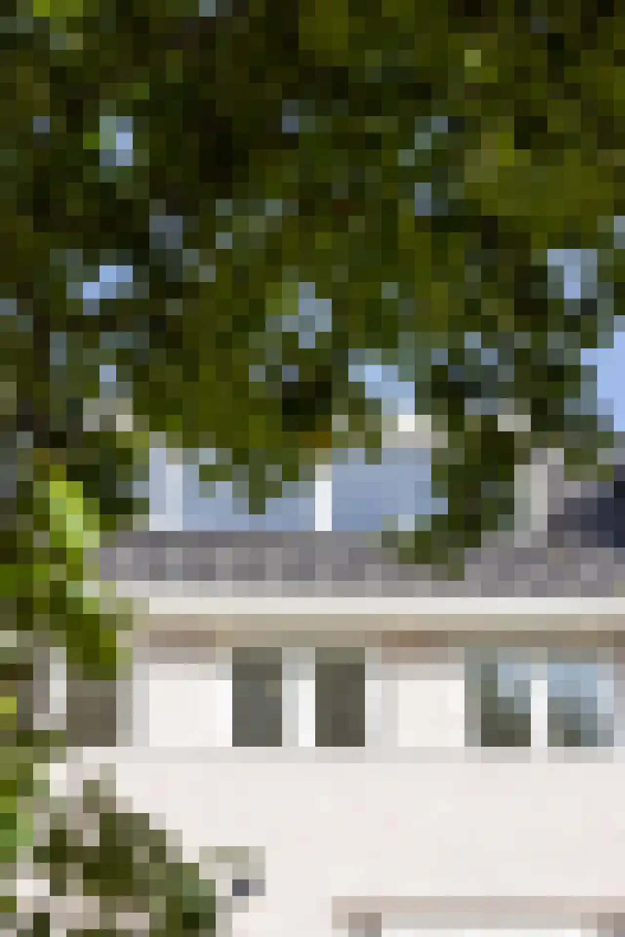 West-Sidelinge 196 D Rotterdam thumbnail 21