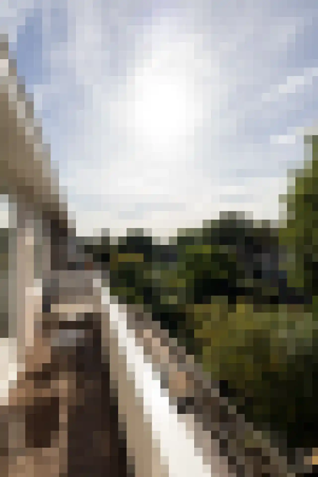 West-Sidelinge 196 D Rotterdam thumbnail 9