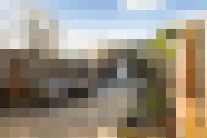 West-Sidelinge 210 C Rotterdam thumbnail 25