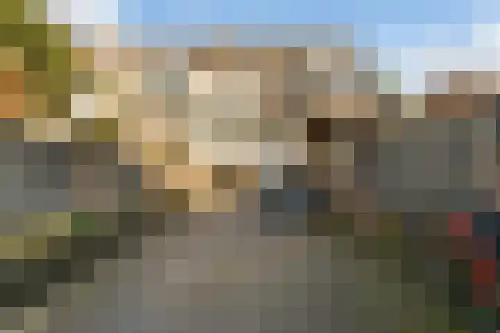 West-Sidelinge 210 C Rotterdam thumbnail 26