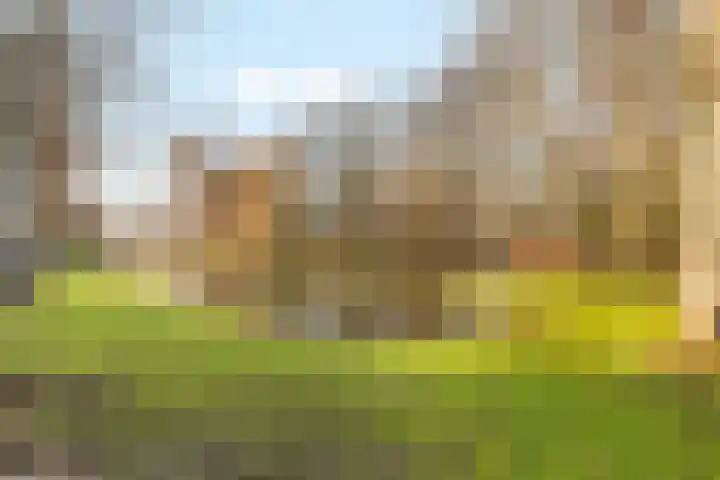 West-Sidelinge 210 C Rotterdam thumbnail 35