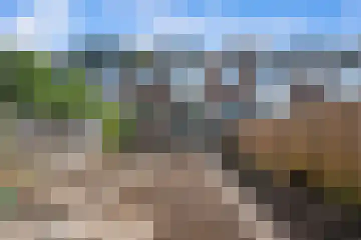 West-Sidelinge 226 A Rotterdam thumbnail 22
