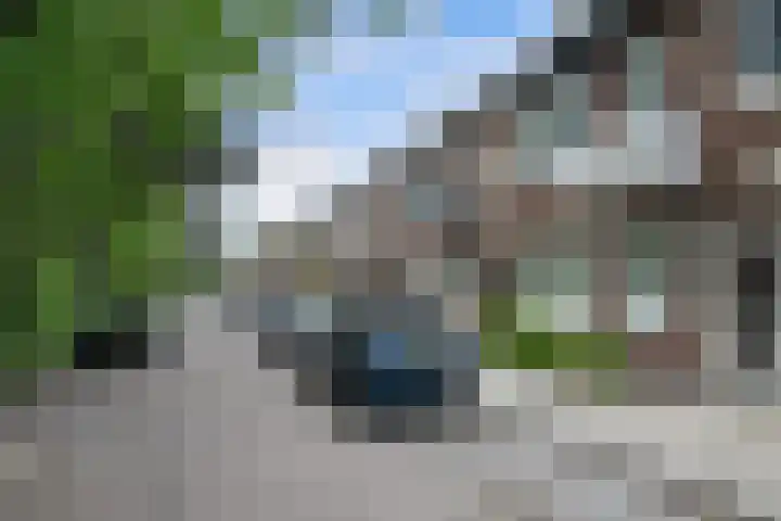West-Sidelinge 226 A Rotterdam thumbnail 25