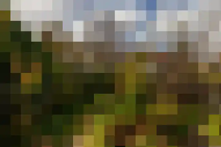 West-Sidelinge 276 Rotterdam thumbnail 43