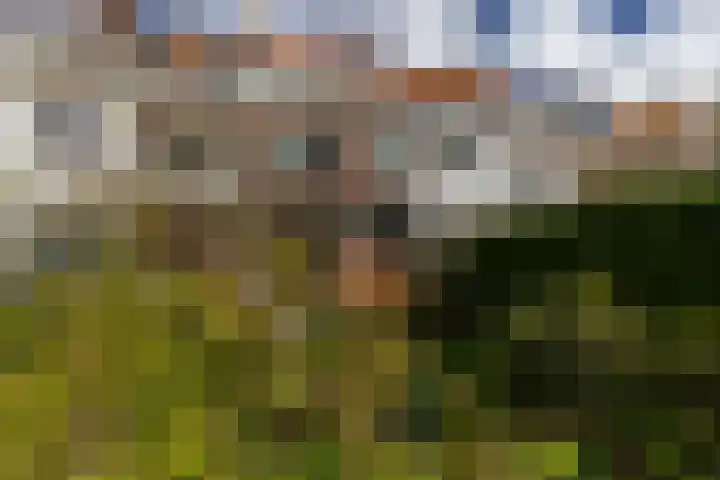 West-Sidelinge 276 Rotterdam thumbnail 46