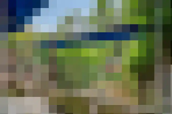 West-Sidelinge 298 Rotterdam thumbnail 19