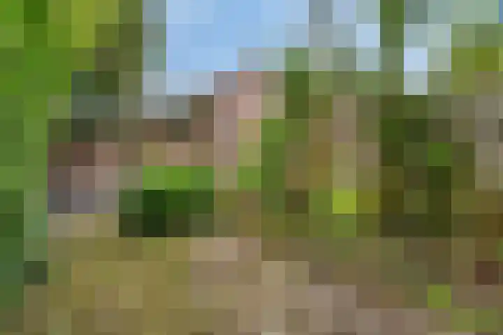 West-Sidelinge 298 Rotterdam thumbnail 21