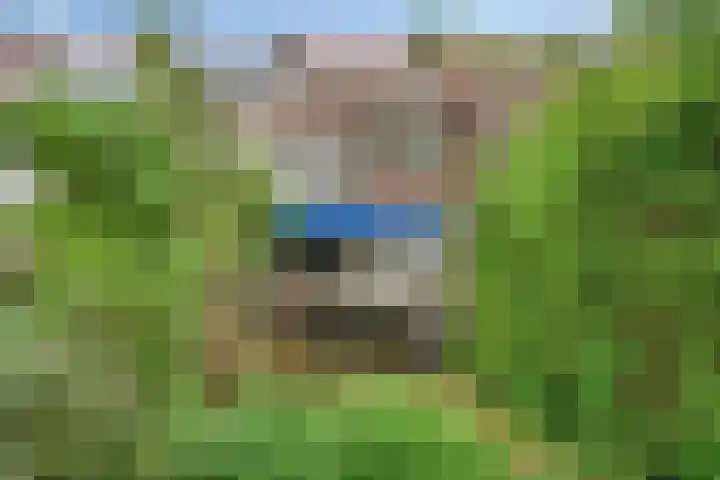 West-Sidelinge 298 Rotterdam thumbnail 22