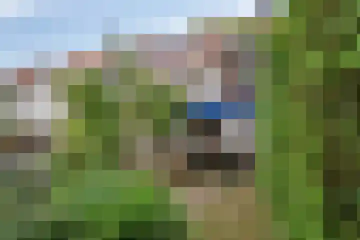 West-Sidelinge 298 Rotterdam thumbnail 23