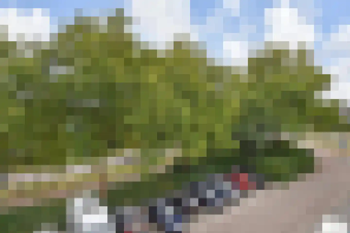 West-Sidelinge 312 Rotterdam thumbnail 24
