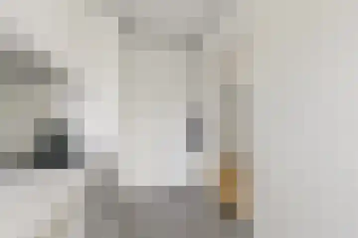West-Sidelinge 314 Rotterdam thumbnail 10
