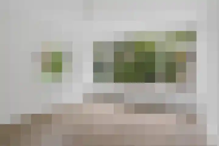 West-Sidelinge 322 Rotterdam thumbnail 11